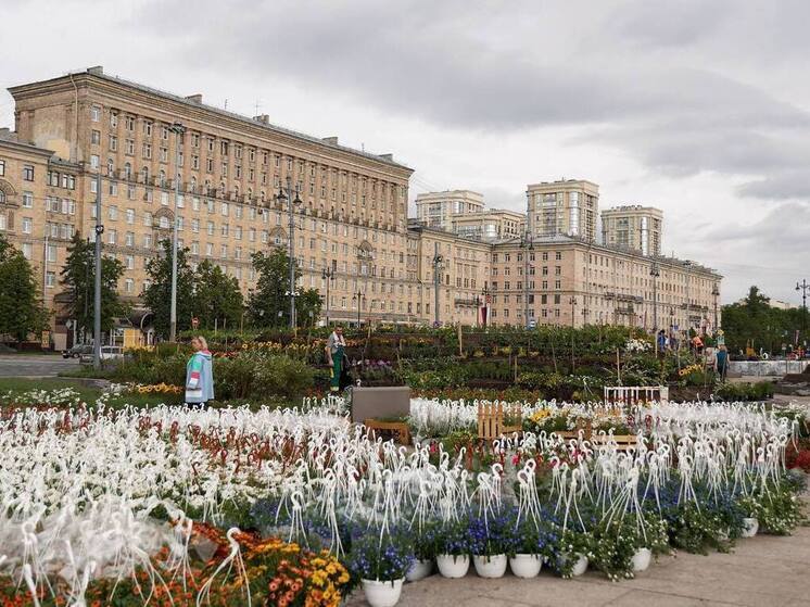 Сад на Московской площади будет обладать искусственным рельефом