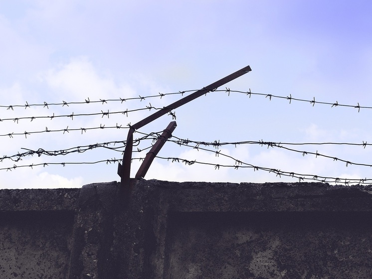 Мигрантами, надругавшимися над девушкой во Владивостоке, занялся глава следкома