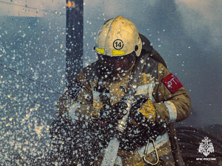 За 31 мая приморские спасатели разобрались с 18-ю пожарами