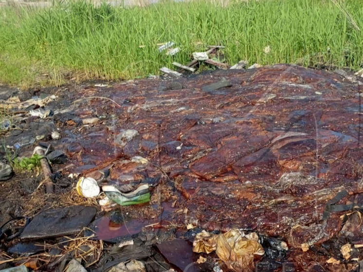 Свалку биоотходов у озера намерены ликвидировать в Приморье