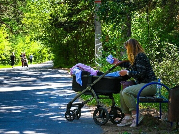 Южноуральцы получили 248 тысяч выплат и пособий на детей