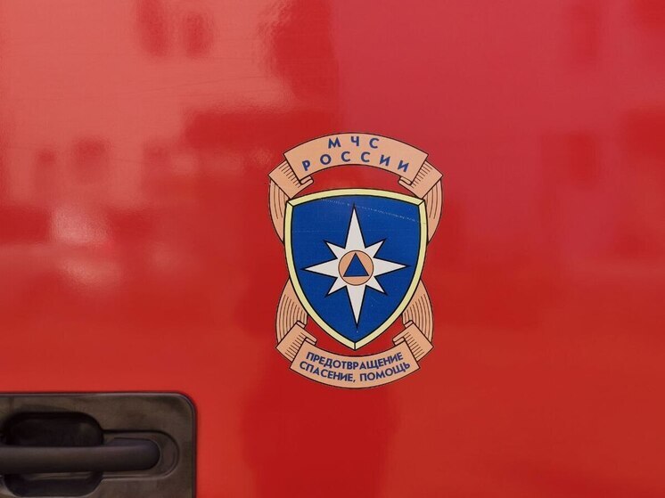 Чудом спасли женщину из огня пожарные в Амурской области