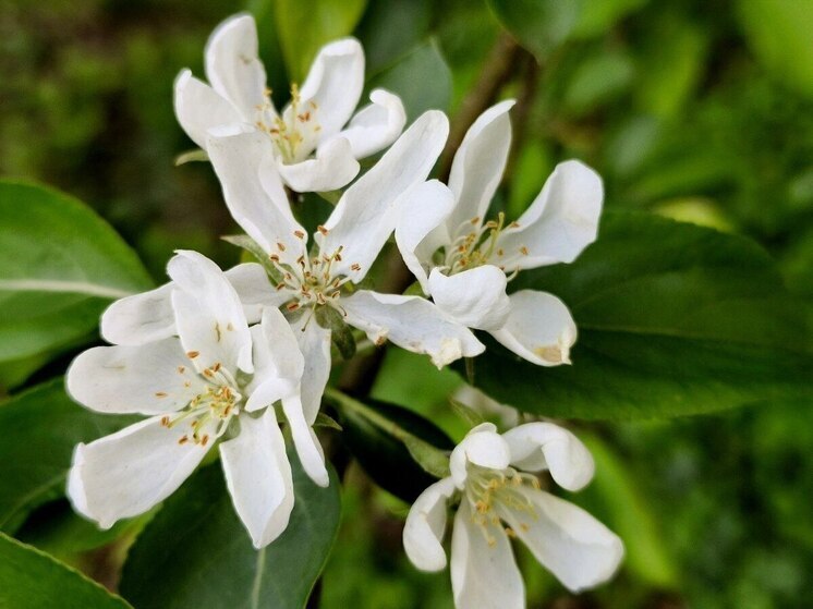 Стало известно, какая погода ожидает жителей Хабаровского края 2 июня