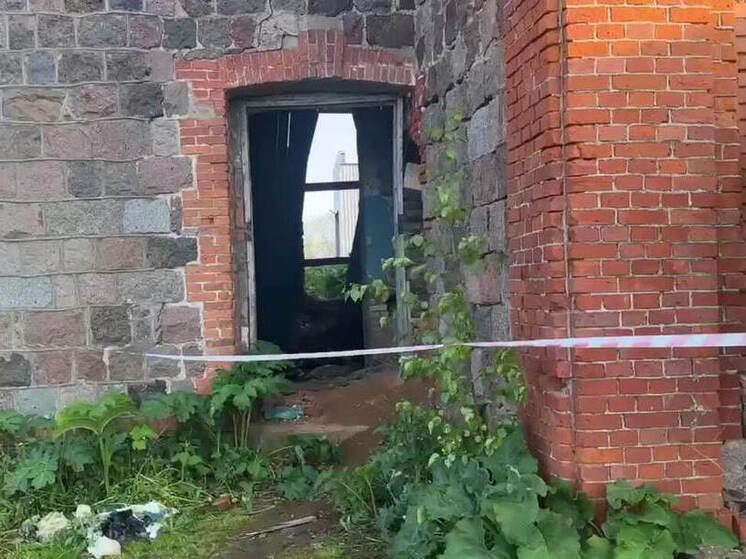 В Ленобласти на заброшенной ферме из-за обрушения погибли две 11-летние девочки