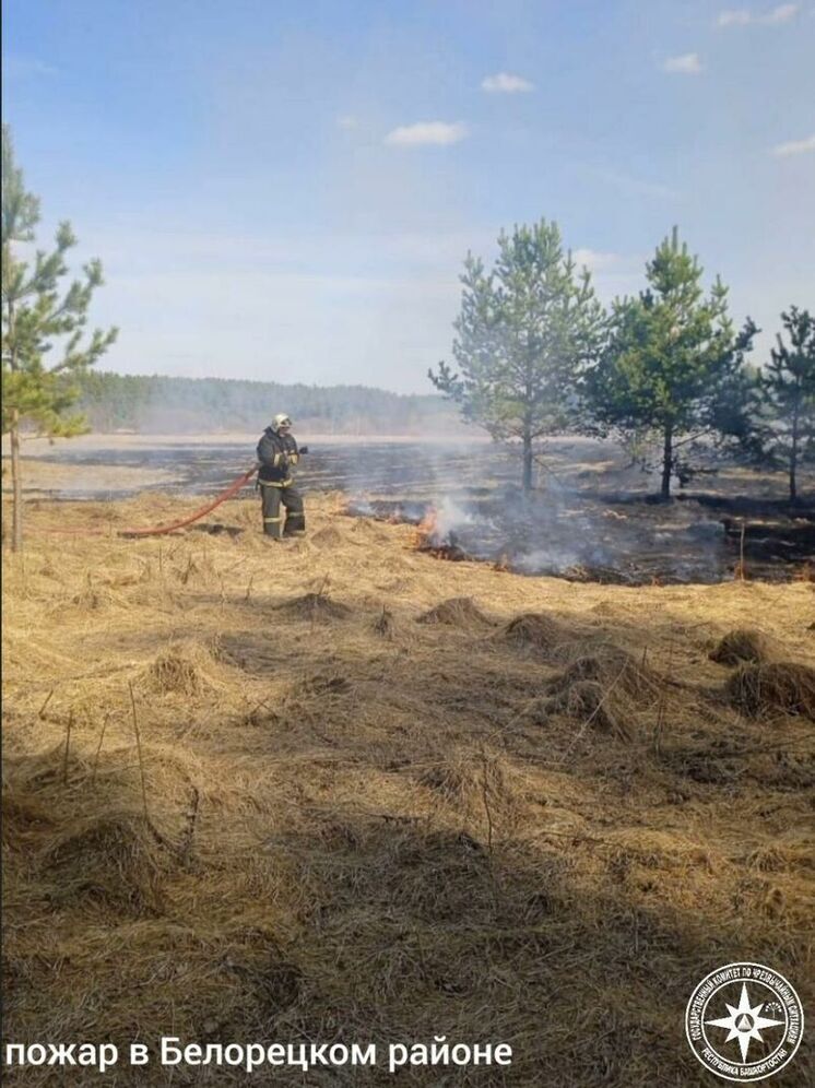 В Стерлитамакском районе горела сухая трава