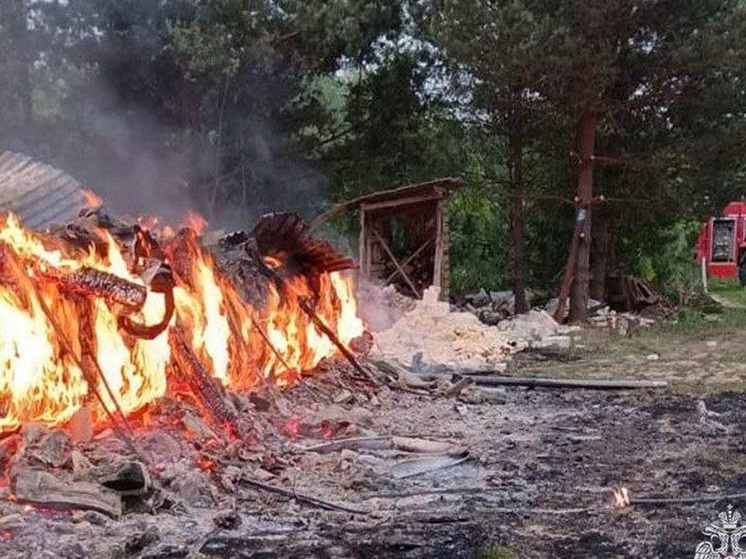 В тульском поселении Славное  сгорело заброшенное строение