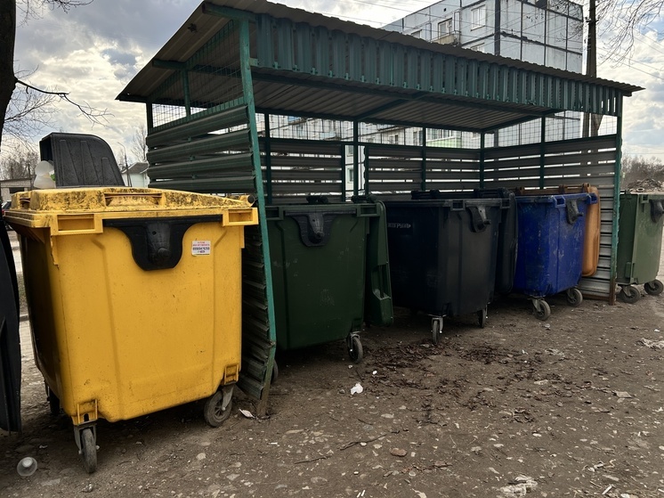 Мусорные контейнеры сгорели в результате пожара в Мурманске