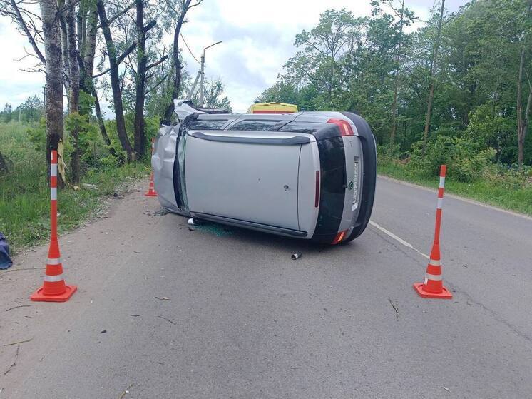 В Великом Новгороде налетела на дерево «Шкода Йети»