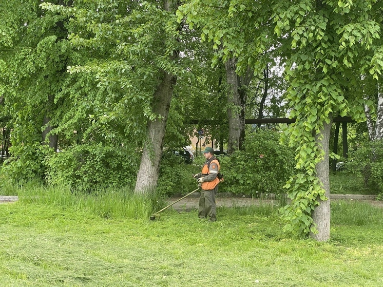 Борьба с борщевиком началась в Касимовском округе Рязанской области