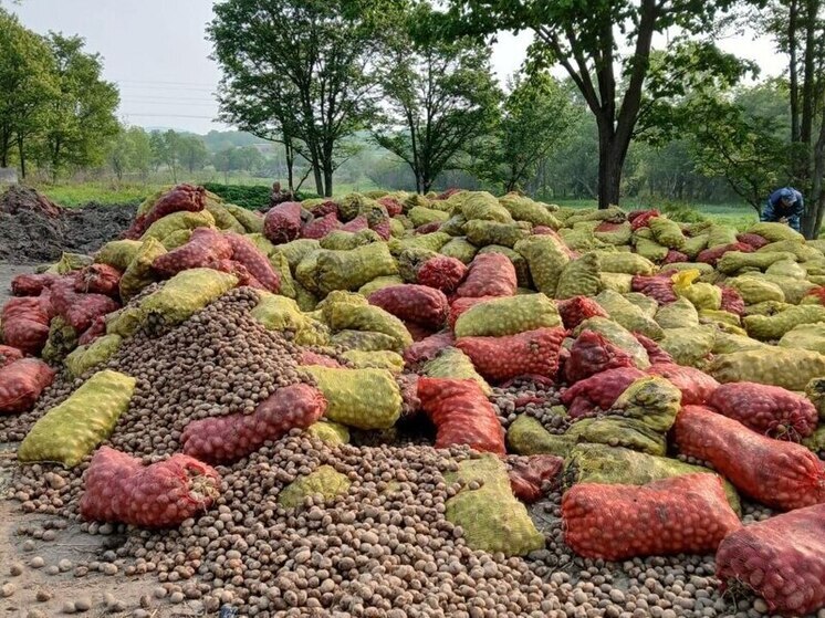 В Приморье неизвестные усыпали лес картофелем