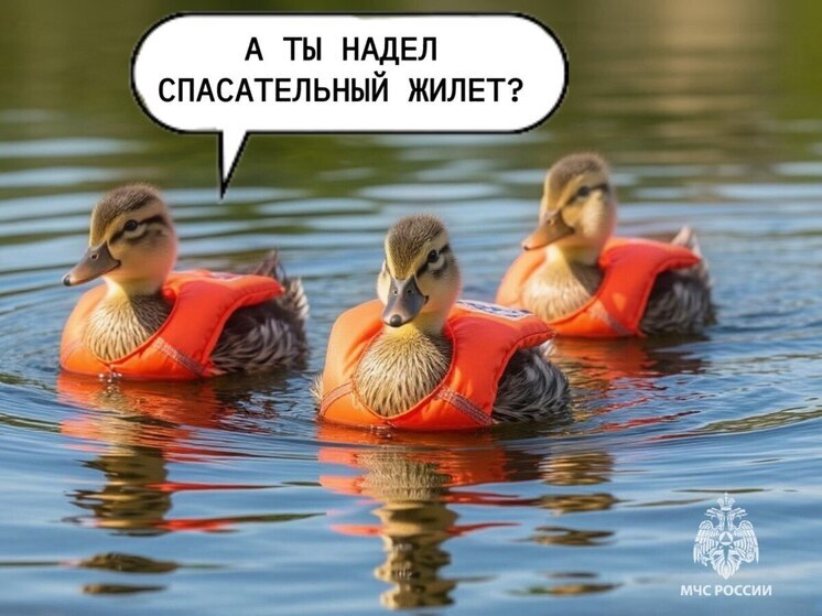 Псковичам напомнили про безопасность на водоемах