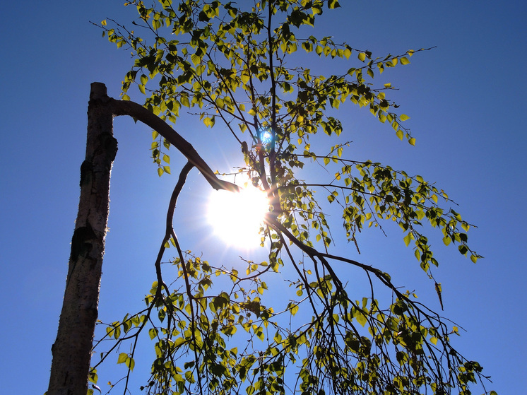 До Земли дошло выброшенное Солнцем облако плазмы