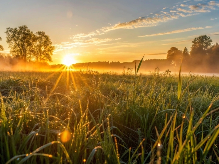 День Фалалея Огуречника 2 июня: что принесет удачу и от чего лучше отказаться
