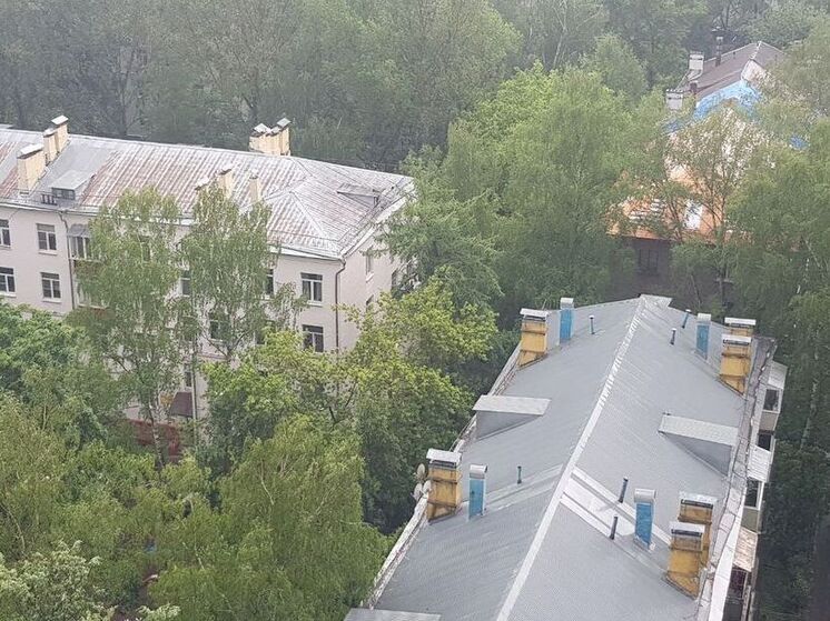 Опасные детские прогулки по крышам заметили в Лобне