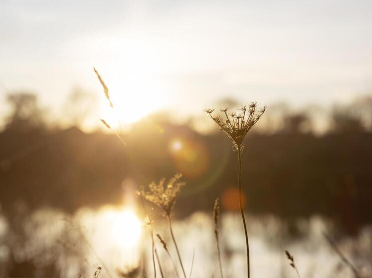 В начале июня Томск накроют магнитные бури