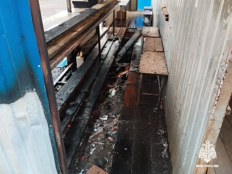 В последний день весны в Костромской области произошло два пожара