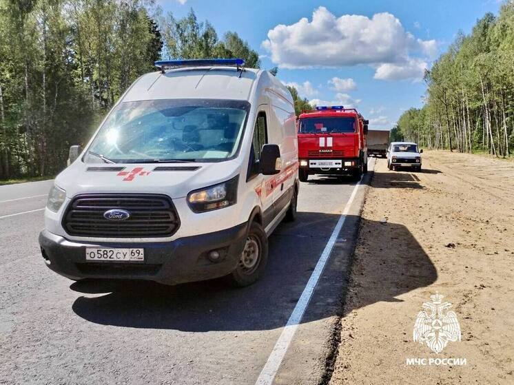 В Тверской области перевернулся минивэн: водителю стало плохо за рулем