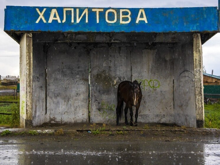 Южноуральцев предупредили о сильных ливнях и граде
