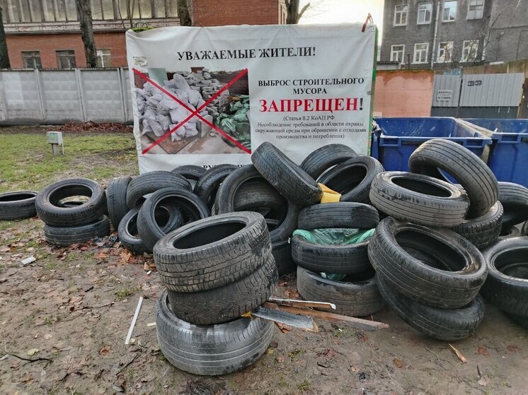 В Черняховске ликвидировали две несанкционированные свалки