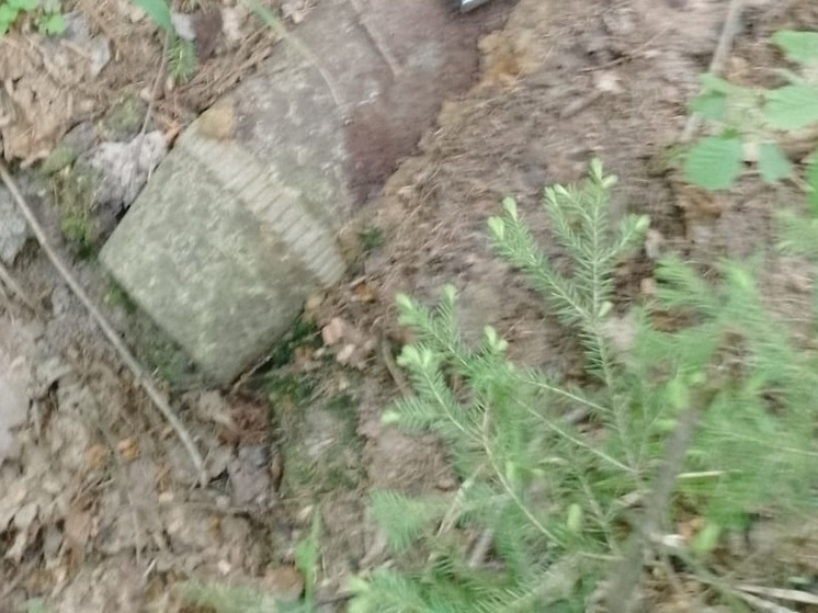 В Жуковском районе обезвредили артснаряд