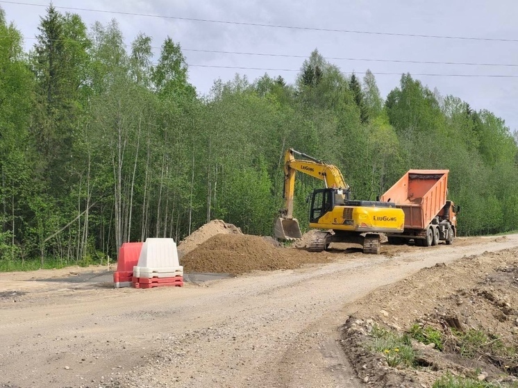 На автодороге Коноша - Вожега продолжаются ремонтные работы