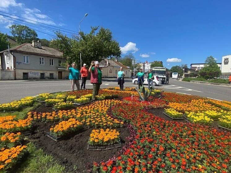 Ставрополь этим летом украсят более 400 цветочных кашпо