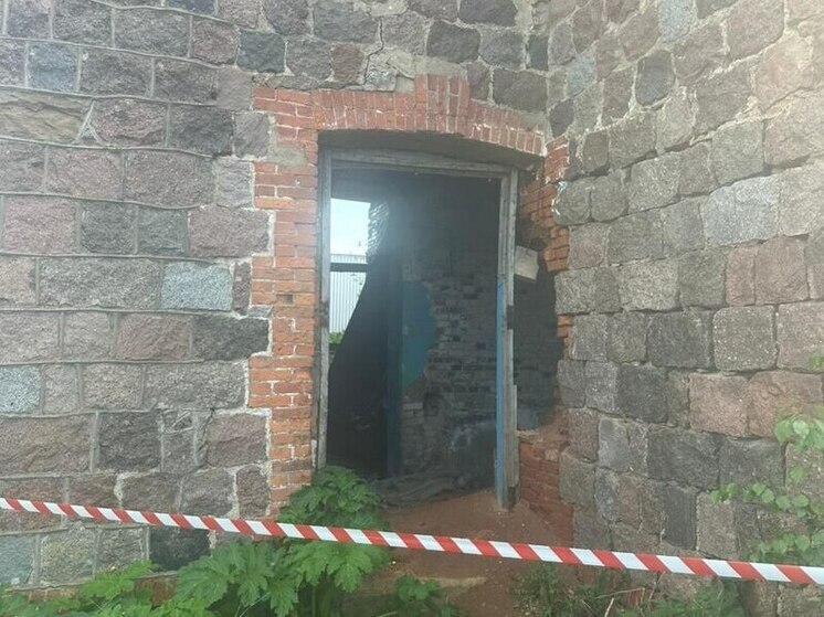 Прокуратура взяла на контроль дело о погибших детях в Выборгском районе