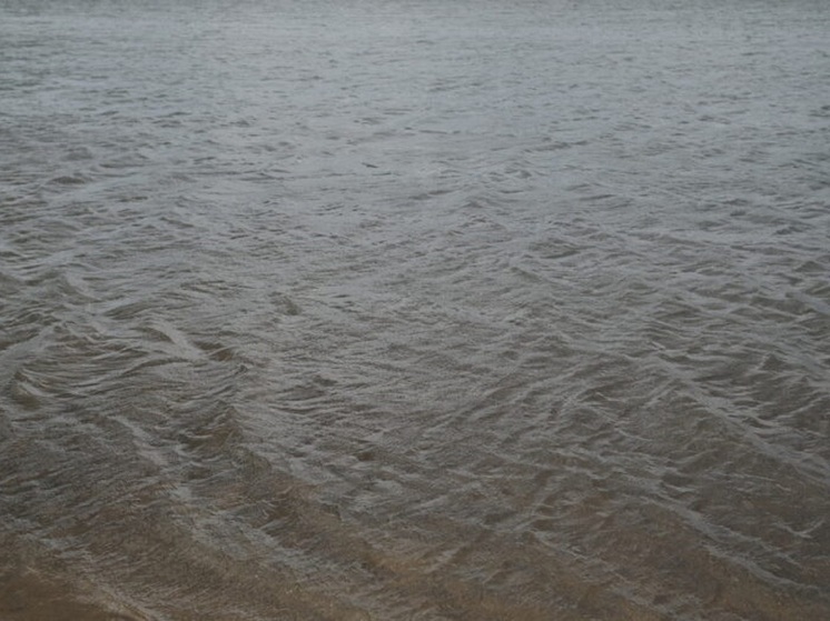  8-летний ребенок утонул в оросительном канале под Волгоградом