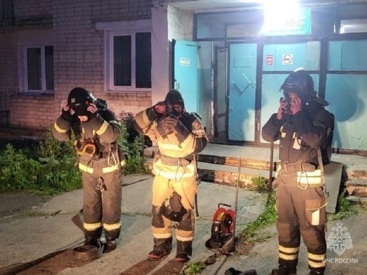 Два человека погибли на пожарах в Костромской области в мае