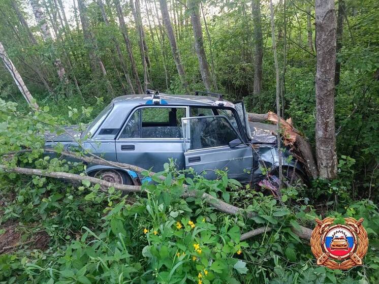 В Тверской области иномарка протаранила дерево: есть пострадавший