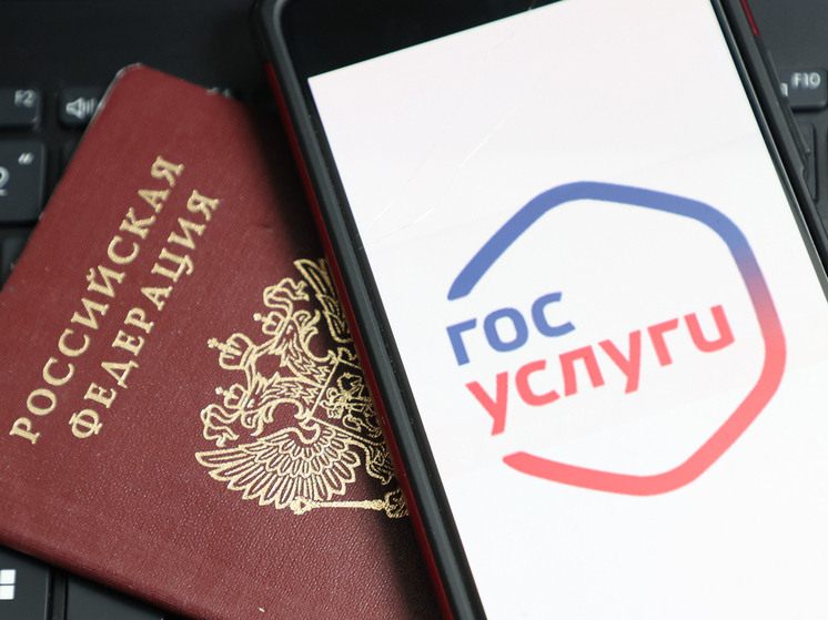 В Госдуме предлагают добавить на «Госуслуги» кнопку безопасности