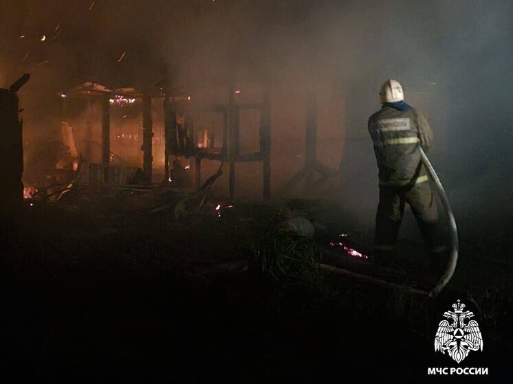 Непотушенная сигарета стала причиной пожара в селе Приморского края