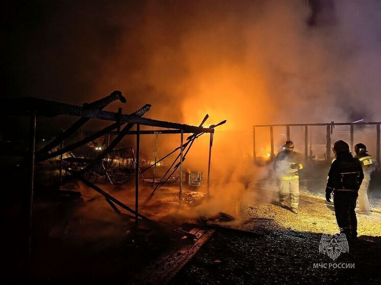 В Хакасии на пожаре нашли тела двоих мужчин