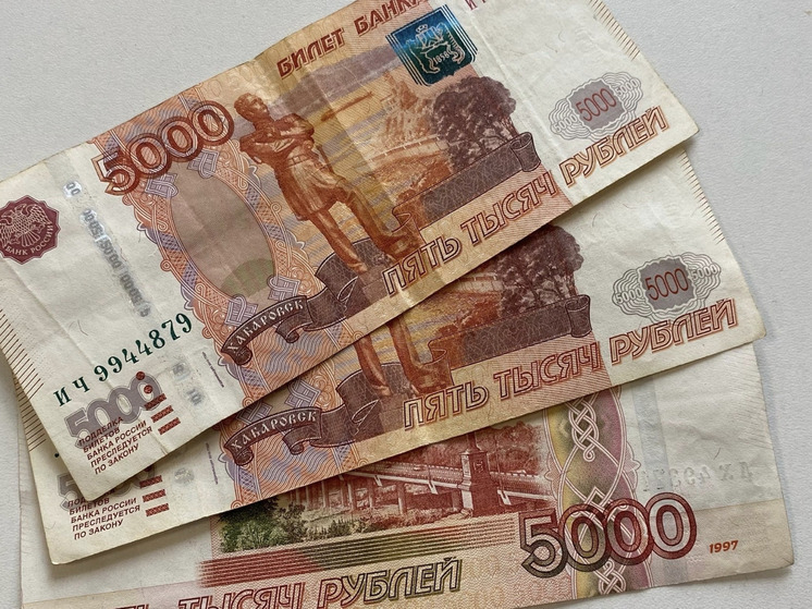 Из-за страха потерять имущество, новосибирец выплатил долг по алиментам