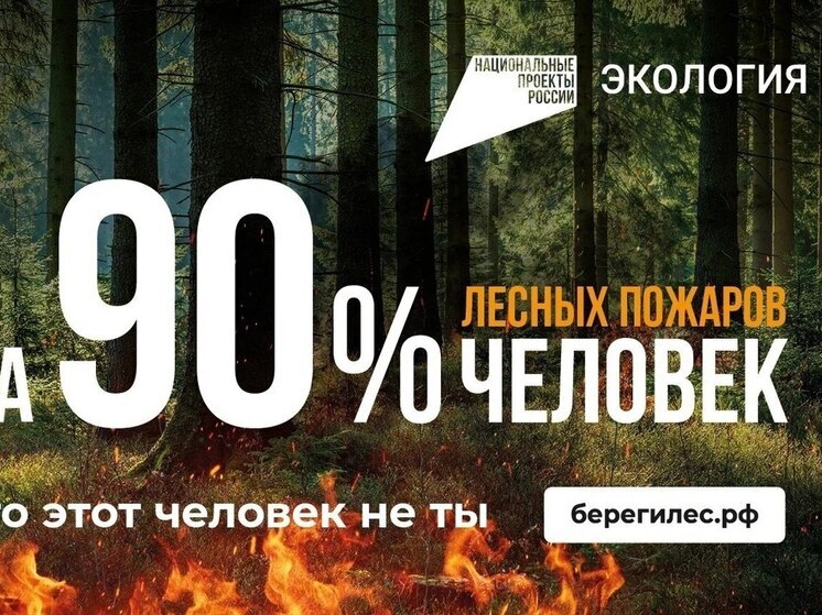 В нескольких районах Калужской области введен особый противопожарный режим