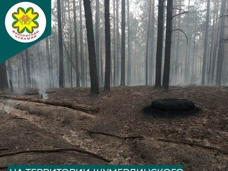 В Шумерлинском районе локализовали лесной пожар, вызванный сухой грозой