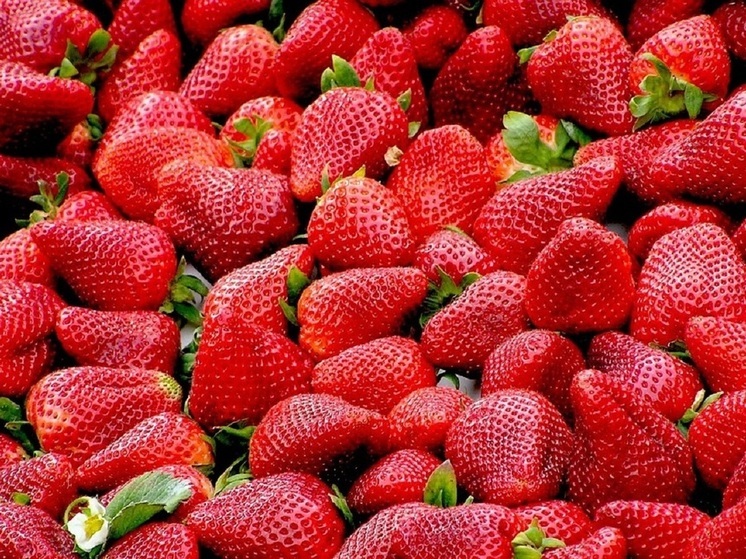 Эксперт Куликов объяснил россиянам, как выбирать спелые и полезные ягоды