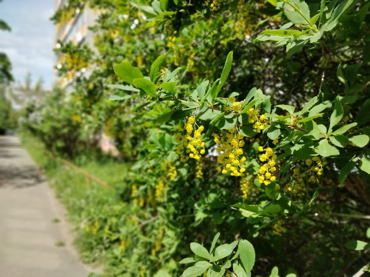 В середине июня придет аномалия. Синоптики сказали, что будет с погодой