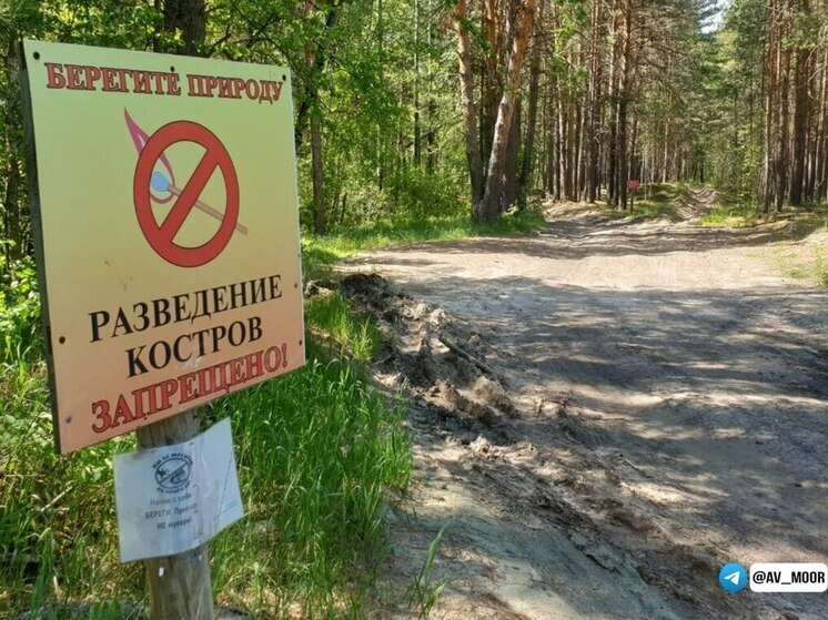 В Тюменской области продлён особый противопожарный режим из-за роста числа пожаров