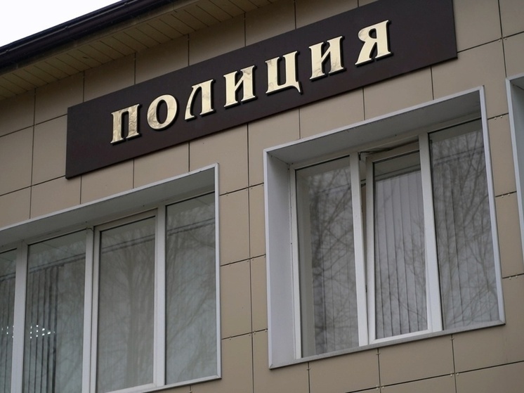 В Липецке завершено расследование уголовных дел по кражам из магазина