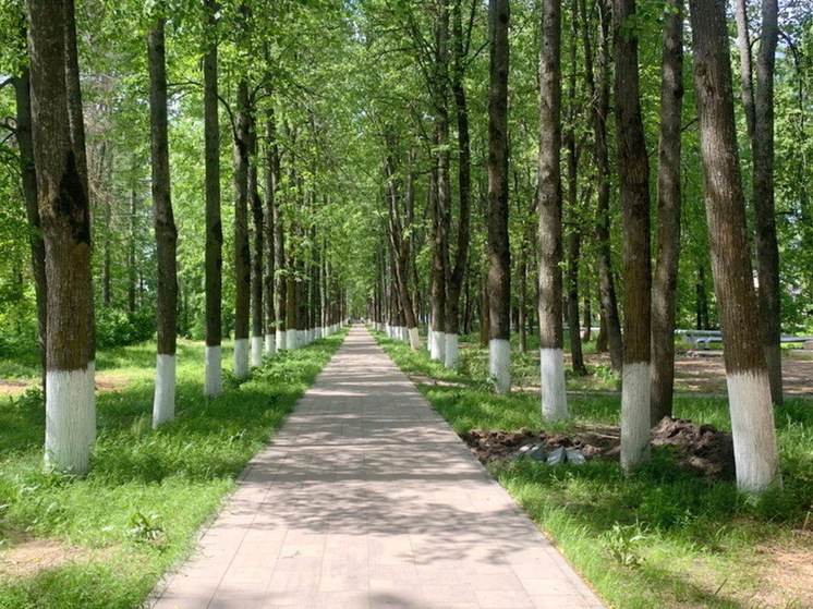 В ивановском Савино благоустраивают Городской парк