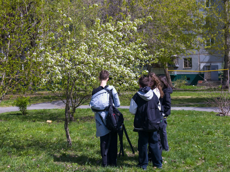 Благоустройством Челябинска летом займутся школьники