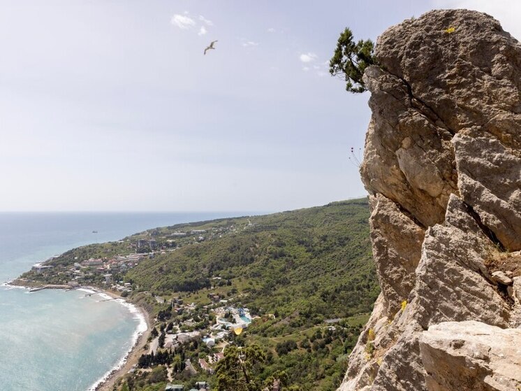 С начала года в Крыму отдохнуло более 1,5 млн человек