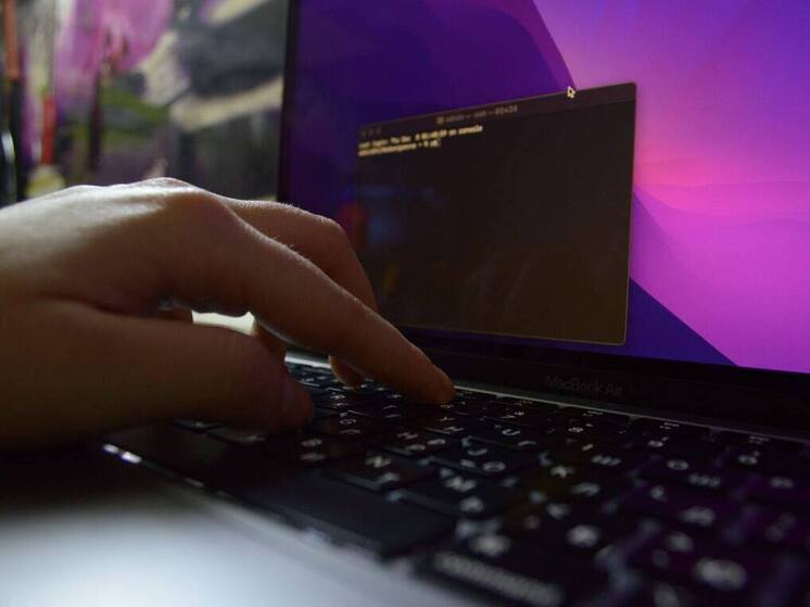 Почти 40% тульских компаний не обучают сотрудников инфобезопасности