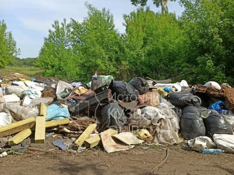Кузбасские дачники жалуются на омерзительную свалку
