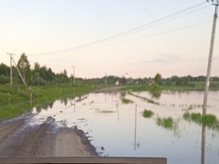 В Тюменской области вода подтопила несколько новых участков автодорог