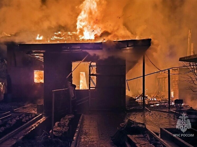 В челябинском СНТ ликвидировали крупный пожар