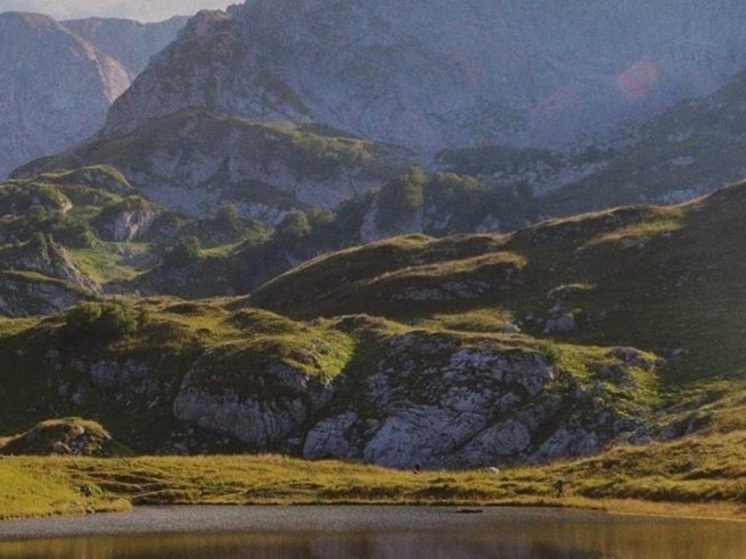 На треть возрастет площадь субтропических садов Сочи в текущем году