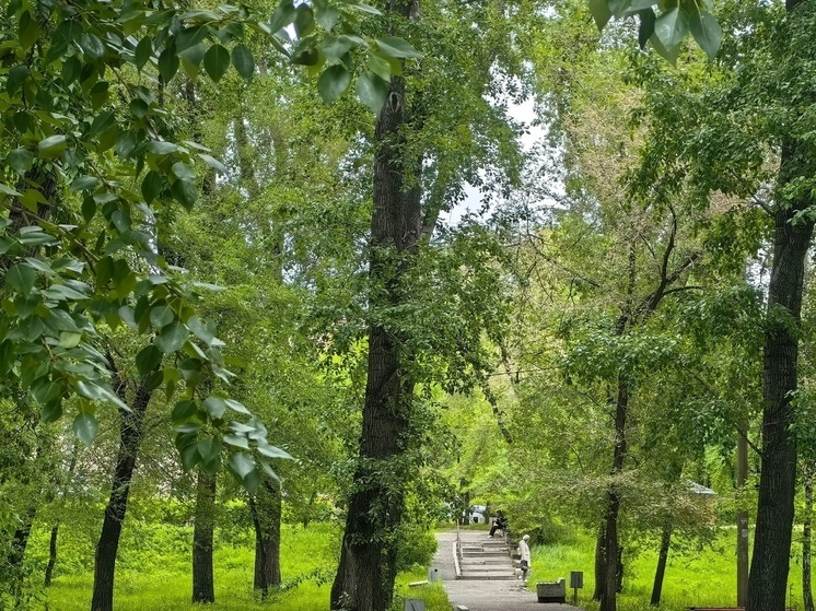 В Хакасии заморозки сменятся жарой