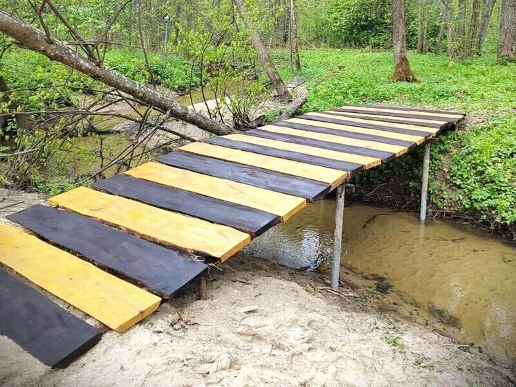 Калужские госинспекторы построили мост в лесу